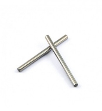 Hinge pins upper front (2)