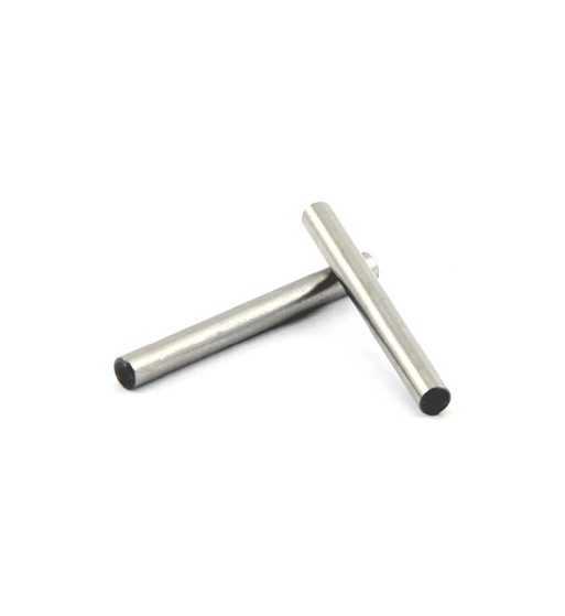 Hinge pins body mount rear (2) - steel