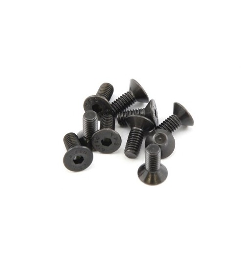 Hex. countersunk screw M4x10 (10)