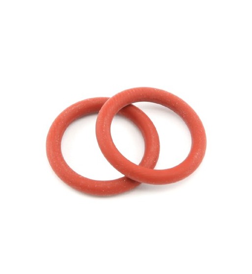 O-ring fueltank cap (2)